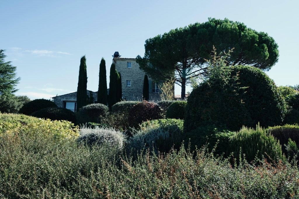 Toscaanse tuin, Italiaanse tuin, mediterrane tuin, mediterraanse tuin, mediterrane planten, mediterrane tuin klein, Wonen in de Regio