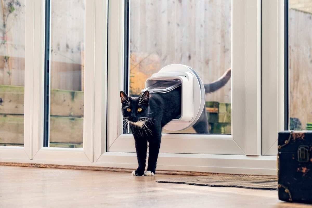 Wonen in de Regio Slim wonen met een kattenluik in glas