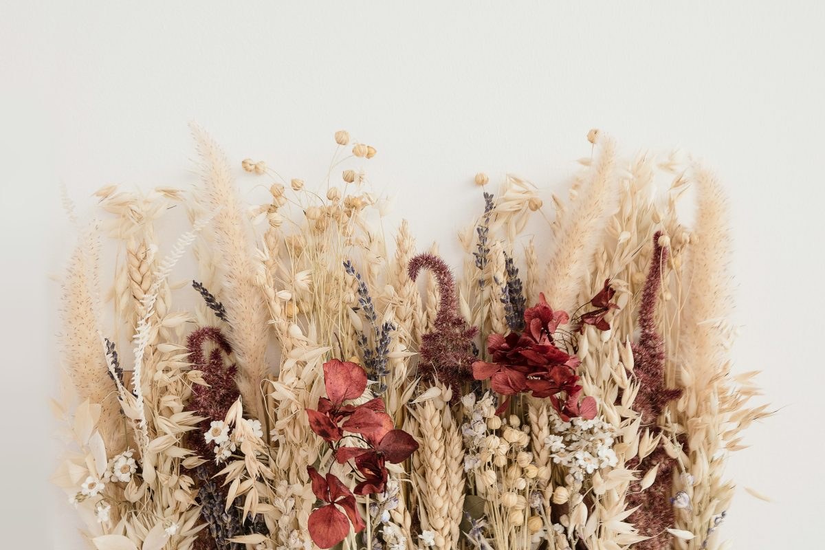 Wonen in de Regio Droogbloemen: het ultieme geheim voor een bloemenpracht die voor eeuwig duurt