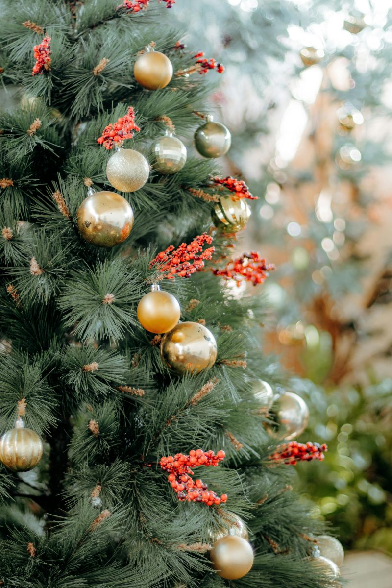 Wonen in de Regio Briljante manieren voor raamdecoratie kerst die je niet wilt missen!
